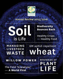 the 2016 annual report