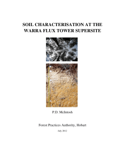 soil characterisation at the warra flux tower supersite
