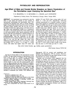 Age Effect of Male and Female Broiler Breeders on Sperm
