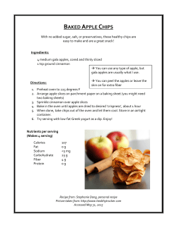 BAKED APPLE CHIPS
