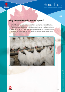 7. Measure Chain Feeder Speed