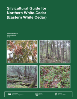 Silvicultural guide for northern white-cedar