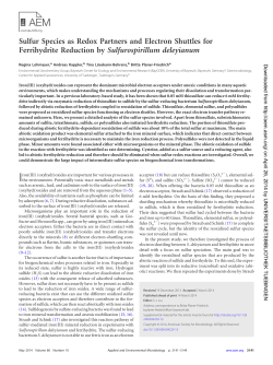 Lohmayer, R., Kappler, A., Loesekann-Behrens, T., Planer