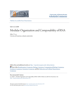 Modular Organization and Composability of RNA