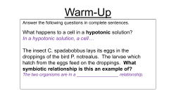 Active Transport - stephen fleenor