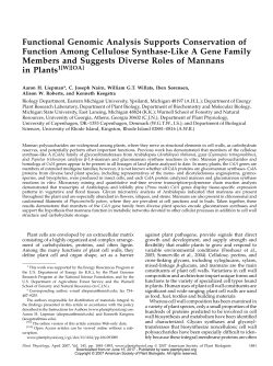 Functional Genomic Analysis Supports