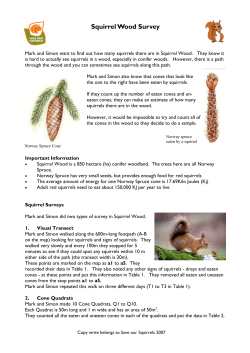 Squirrel Wood Survey - Ullswater `Steamers`