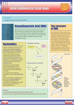 OCR unit 4 - cells and molecules - FINAL.qxd