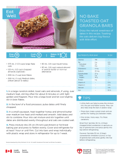 no bake toasted oat granola bars