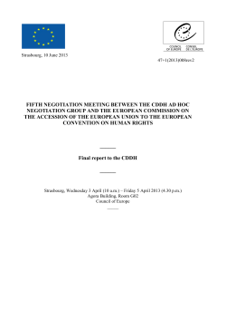 Final report to the CDDH - European Court of Human Rights