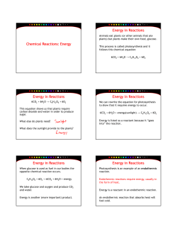 Energy Energy in Reactions Energy in Reactions Energy in