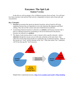 Enzymes: The Spit Lab