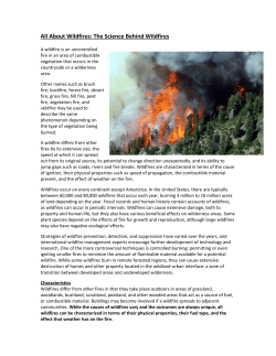 All About Wildfires: The Science Behind Wildfires