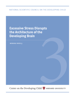 Excessive Stress Disrupts the Architecture of the Developing Brain