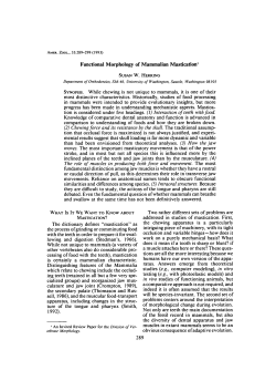 Functional Morphology of Mammalian Mastication1 SYNOPSIS
