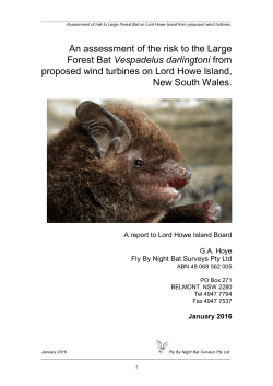 A SURVEY OF THE BAT FAUNA