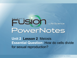Unit 2 Lesson 2 Meiosis Essential Question: How do cells divide for