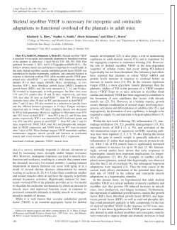 Skeletal myofiber VEGF is necessary for myogenic and contractile