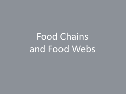 Food Chains and Food Webs
