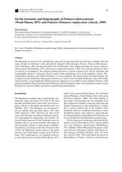 On the taxonomy and biogeography of Potamon atkinsonianum