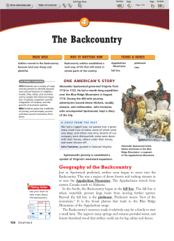 The Backcountry