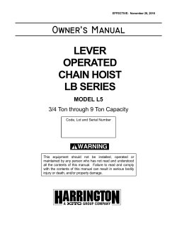 lever operated chain hoist lb series