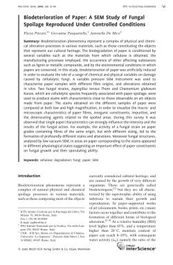 Biodeterioration of Paper: A SEM Study of Fungal Spoilage