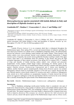 Botryosphaeriaceae species associated with lentisk dieback in Italy