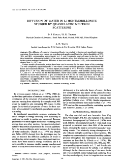 DIFFUSION OF WATER IN Li-MONTMORILLONITE STUDIED BY