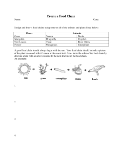 Food chain homework - Madeira City Schools