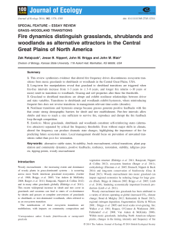 Fire dynamics distinguish grasslands, shrublands