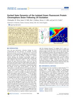 Excited State Dynamics of the Isolated Green Fluorescent Protein