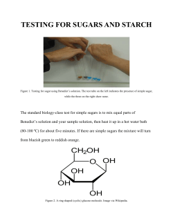 TESTING FOR SUGARS AND STARCH