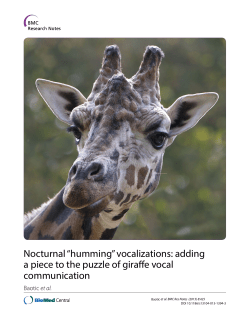 Nocturnal &ldquo;humming&rdquo; vocalizations: adding a piece to the puzzle of