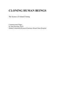 nbac_cloning2 - Georgetown University