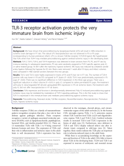 TLR-3 receptor activation protects the very immature brain from