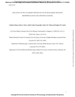 INFLUENCE OF THE ACCESSORY PROTEIN SET ON M3