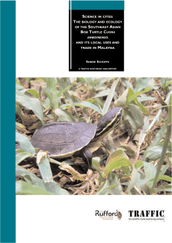 The Biology and Ecology of the Southeast Asian Box Turtle