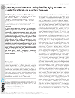 Lymphocyte maintenance during healthy aging requires no