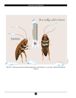 Cockroach Control Manual