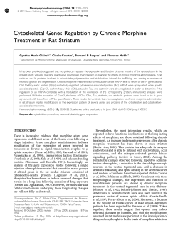 Cytoskeletal Genes Regulation by Chronic Morphine