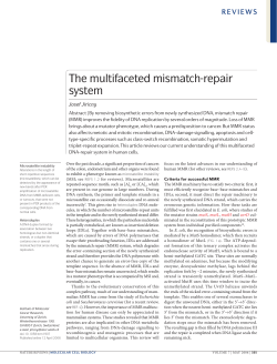 The multifaceted mismatch