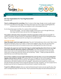 Are Your Expectations For Your Dog Reasonable?