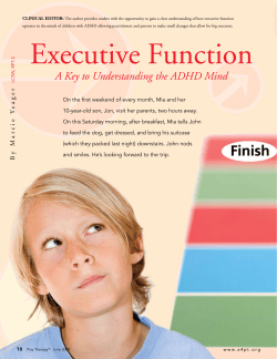 Executive Function - The Yeager Center for Children and Families
