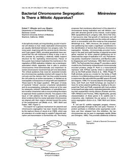 Bacterial Chromosome Segregation: Minireview Is There a Mitotic