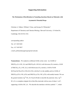 Supporting Information - Whitesides Research Group