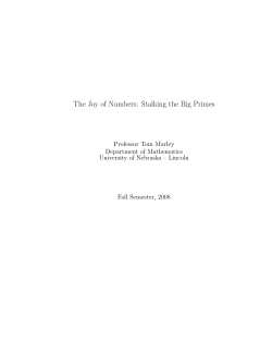 The Joy of Numbers: Stalking the Big Primes