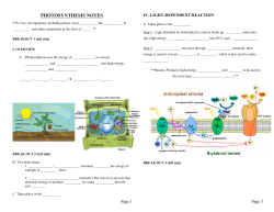 Photosynthesis Guided Notes