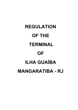 Ilha Gua&iacute;ba Terminal