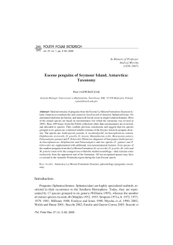 Eocene penguins of Seymour Island, Antarctica